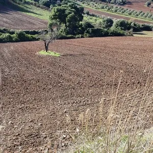 Земельный участок в Kassandra Municipality, фото 4