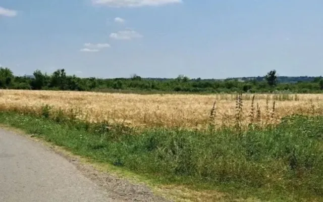 Земельный участок в Белградский