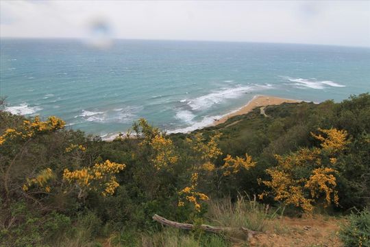 Земельный участок в Корфу