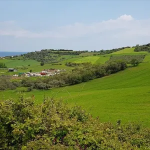Земельный участок в Халкидики, фото 2