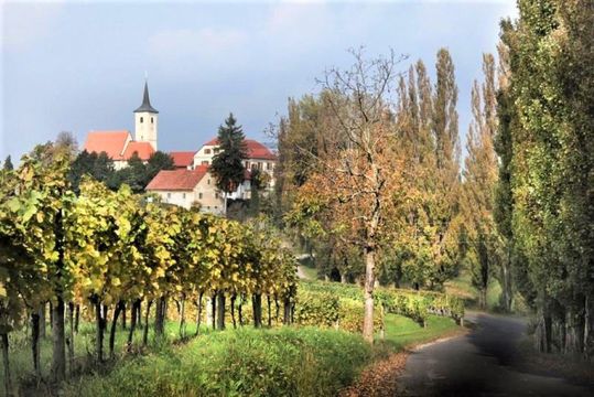 Отдельный дом в Лютомер