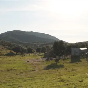Земельный участок в Ситониа, фото 3