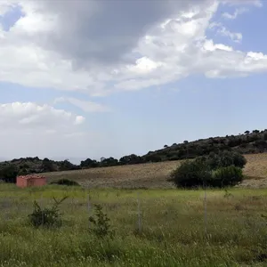 Земельный участок в Ситониа, фото 2