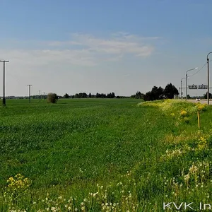 Земельный участок в Канама, фото 2