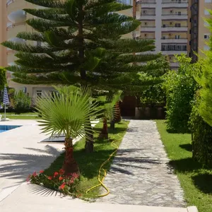 Квартира в Алания, фото 3
