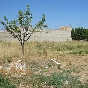 Земельный участок в Рекена, фото 3