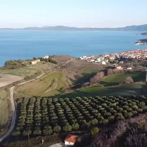 Земельный участок в Aristotle University of Thessaloniki, фото 4