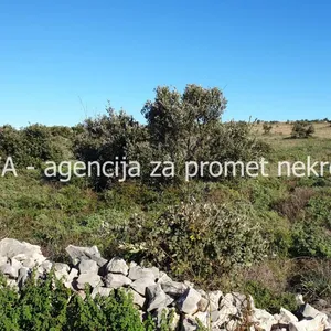 Земельный участок в Вир, фото 5