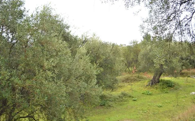 Земельный участок в Corfu
