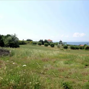 Земельный участок в Ситониа, фото 2