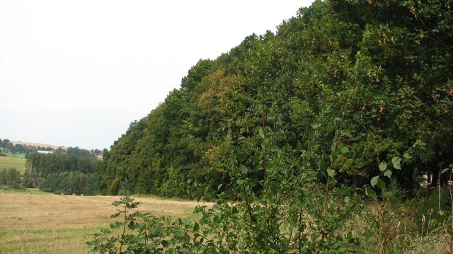 Земельный участок в Прага