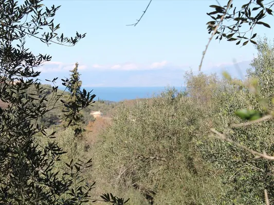 Земельный участок в Corfu