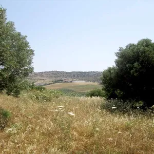 Земельный участок в Ситониа, фото 3