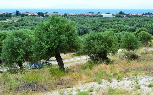 Земельный участок в Kassandra Municipality