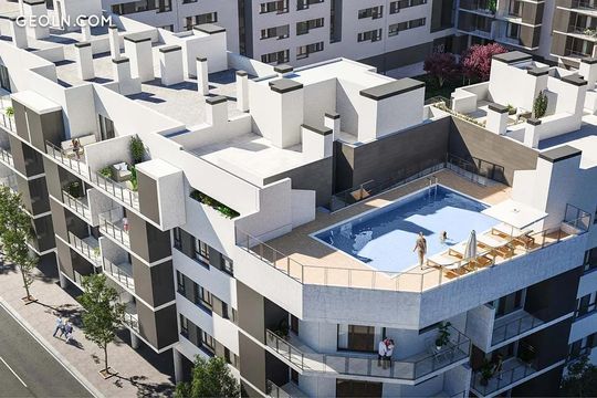 Aequa Palma in Palma