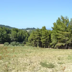 Земельный участок в Kassandra Municipality, фото 2