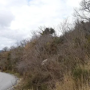 Земельный участок в Приевор, фото 5