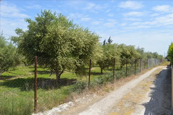 Земельный участок в Municipal Unit of Assos - Lechaio