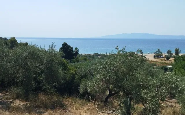 Земельный участок в Aristotle University of Thessaloniki