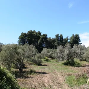Земельный участок в Kassandra Municipality, фото 2
