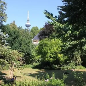 Пентхаус в Мангейм, фото 2