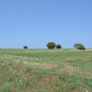 Земельный участок в Kassandra Municipality, фото 4