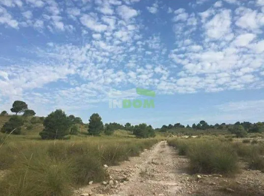 Земельный участок в Авиньо Ноу