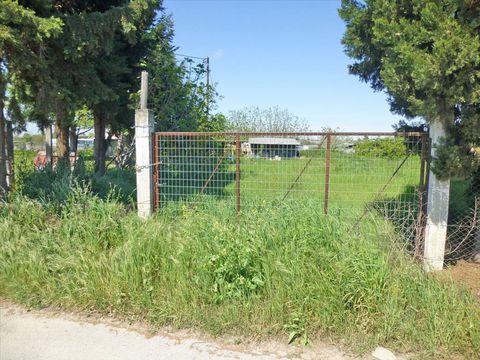 Земельный участок в Катерини