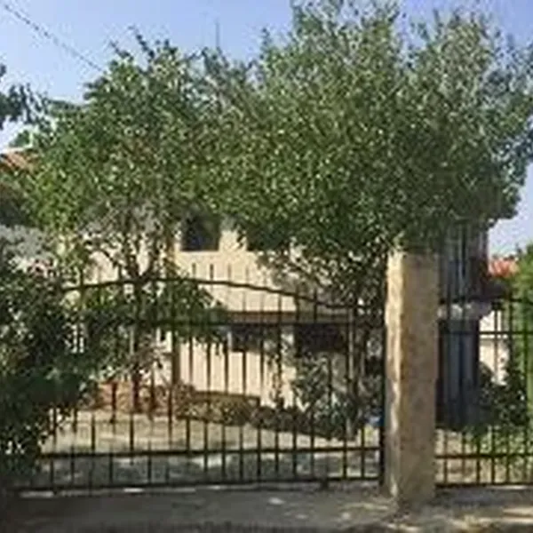 Дом в Кошарица, фото 1