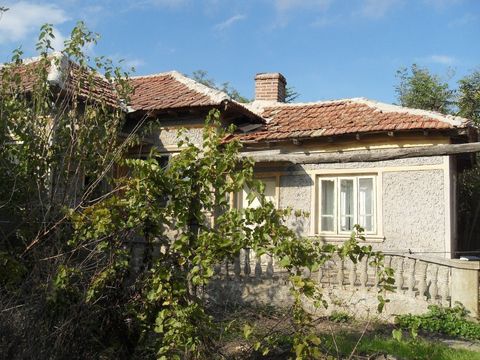 Отдельный дом в Добрич