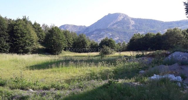 Земельный участок в Негуши