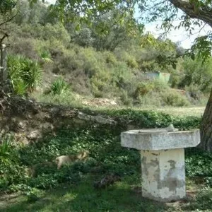 Отдельный дом в Айора, фото 3