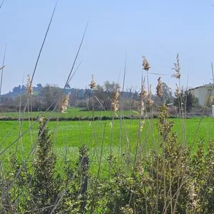 Земельный участок в Kassandra Municipality, фото 4