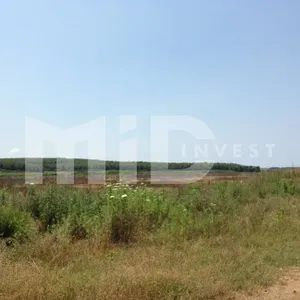 Земельный участок в Каллифея (Кассандра), фото 4
