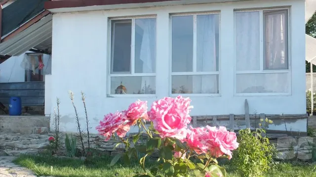 Отдельный дом в Подвис