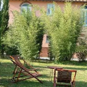 Отдельный дом в Капаннори, фото 4