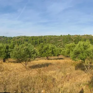 Земельный участок в Ситониа, фото 4