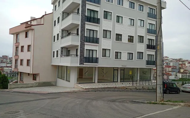 Коммерческая недвижимость в Беязыт Махаллеси
