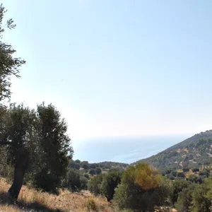 Земельный участок в Kassandra Municipality, фото 2