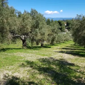 Земельный участок в Kassandra Municipality, фото 2