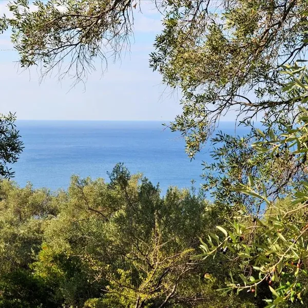 Земельный участок в Corfu, фото 1