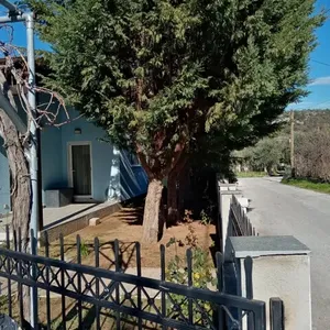 Отдельный дом в Тасос, фото 2