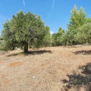 Земельный участок в Ситониа, фото 2