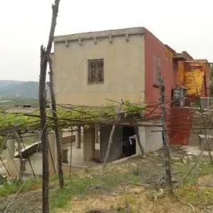 Отдельный дом в Олива, фото 4