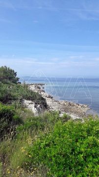 Земельный участок в Вир