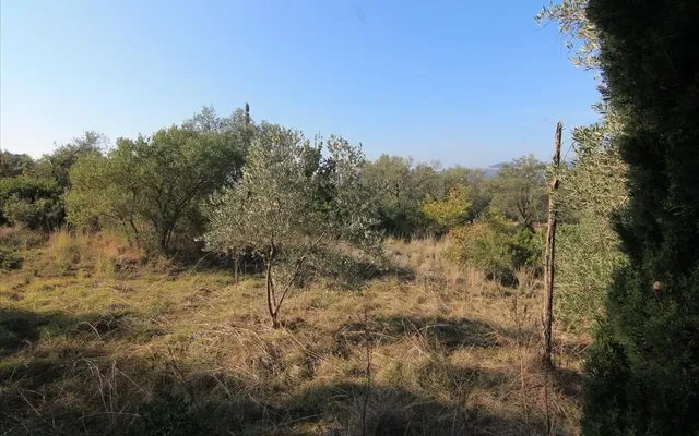 Земельный участок в Corfu