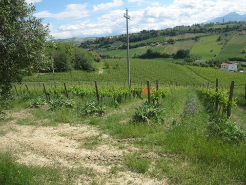 Земельный участок в Асколи-Пичено