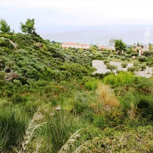 Земельный участок в Kassandra Municipality, фото 2