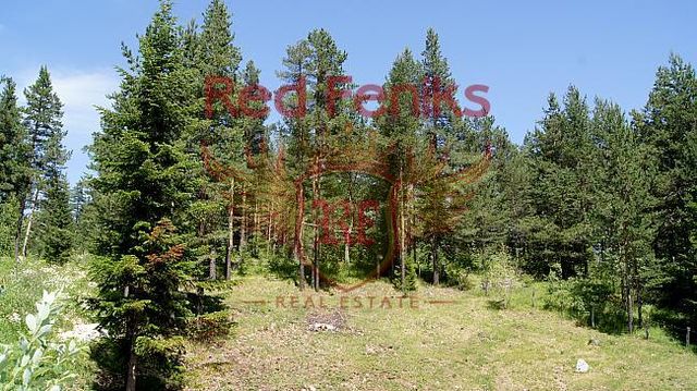 Земельный участок в Жабляк