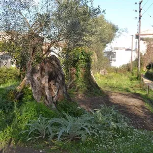 Земельный участок в Corfu, фото 3